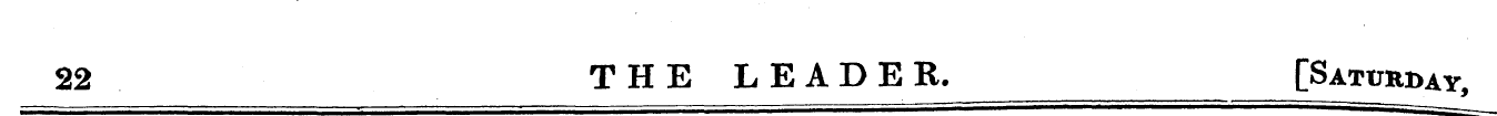 22 THE LEADER. [Saturday ,