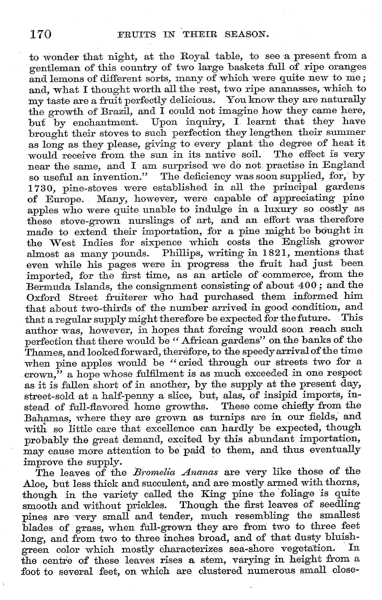 English Woman’s Journal (1858-1864): F Y, 1st edition: 26