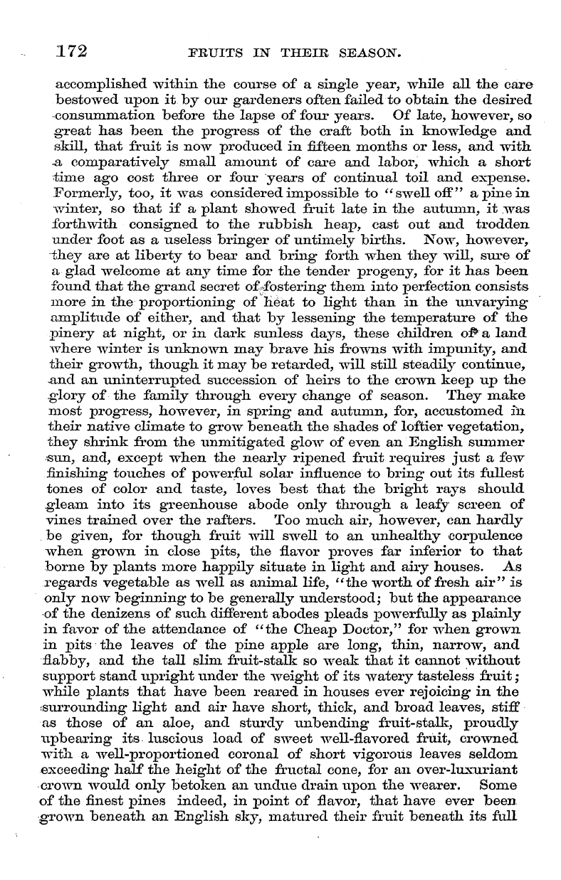 English Woman’s Journal (1858-1864): F Y, 1st edition - 172 Fruits In Their Season.