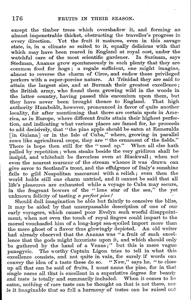 English Woman’s Journal (1858-1864): F Y, 1st edition - . Vii. King Pikje Apphe. "The King* Neve...