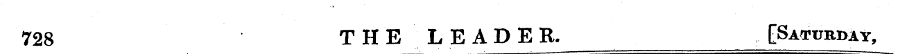 728 THE LEADER. [Saturday,