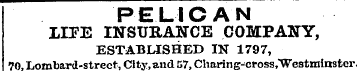 PELICAN LIFE INSURANCE COMPANY, ESTABLIS...