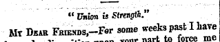 " Union is Strength " Mr Dear RHExnsy-Fo...