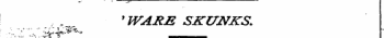 ¦¦ ¦''' "' ¦ '. „, 1 4 , * , "* &lt;Sv " 'WARM SKUNKS. -:-.lie _____