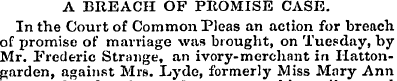 A BREACH OF PROMISE CASE. In the Court o...