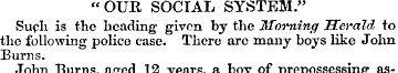 "OUR SOCIAL SYSTEM." Such is the heading...