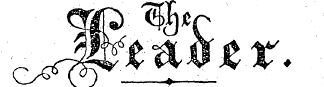 f^TM^ S V|lT* a vlf W ^Pfl^O Xat\ s ¦ ¦ *— ' V #§&lt;F/ d&gt; ~& #¥ g^ ^ ^^~&gt;^^y K' €^ -^V* Jv & ? C^ /£. (&~ ) ^ ^- / \ZJ • —