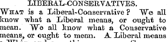 LIBERAL-CONSERVATIVES. "What is a Libera...