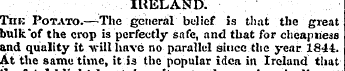 IRELAND. Tiik Potato.—The general belief...