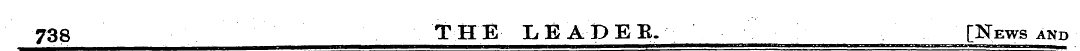 738 THE LEADEB. [News and