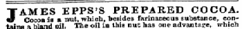 JAMES EPPS'S PREPARED COCOA. Cocoa is a nutwhichbesides farinaceous substance, contains a bland oil. The oil in this nut has one advantage, which