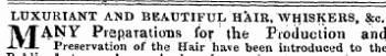 LUXURIANT AND BEAUTIFUL HAIR, WHISKERS, &c. M ANY Preparations for the Production and Preservation of the Hair have been introduced to the Publicbut have