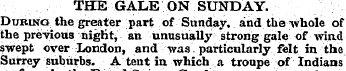 THE GALE ON SUNDAY. DuRiNCJ the greater ...