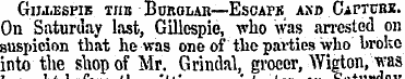 Gillespie the Burglar—Escapk and Capture...