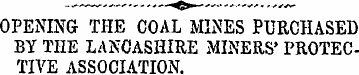 OPENING THE COAL MINES PURCHASED BY THE ...