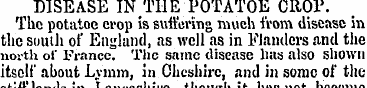 DISEASE IN THE POTATOE CROP. The potatoe...