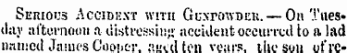 Serious Accidhxt with Gu.ntowdei*. — On Tuesday afternoon a di.stressi!!;; accident occurred to a lad named James Cooner. •u-td ten vears. the sou of re-