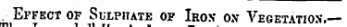 The d. Effect of Sulphate of Iron on Vegetatios. —