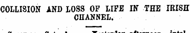 COLLISION AND LOSS OF LIFE IN THE IRISH ...