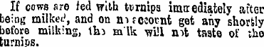 If cows are fed with turnips imrxediatel...