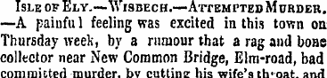 Isle of Ely.~ , Wi9bech.—Attempted Murde...