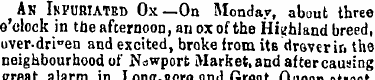 AN INFURIATED Ox—On Monday, about three ...