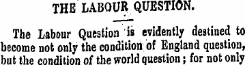 THE LABOUR QUESTION. The Labour Question...