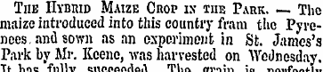 The Hybrid Maize Crop is the Park. — The...