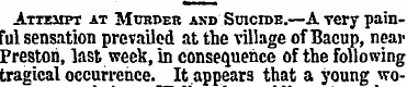 Attempt at Murder and Suicide.—A very pa...