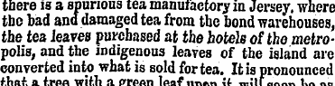 tnere is a spurious tea manufactory m Je...