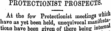 PROTECTIONIST PROSPECTS. At the few Prot...