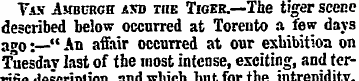 Tax Amburgh and the Tiger.—The tiger sce...