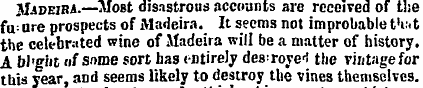 Madeira.—Most disastrous accounts are re...