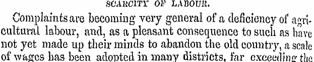 SCARCITY OF LABOUR. Complaints are becom...
