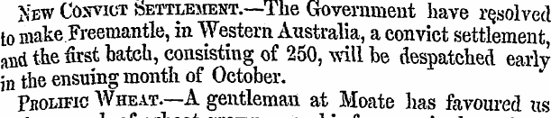 >;ew Coxviot bETTLEMENT.—The Government ...