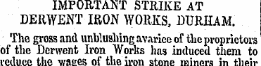 IMPORTANT STRIKE AT DERWENT IRON WORKS, ...