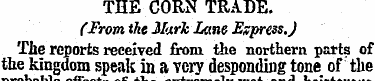 THE CORN TRADE. fFrom the Hark Lane Expr...