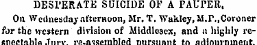 DESl'ERATE SUICIDE OF A PALTER. On Wedne...