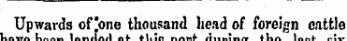 imia iuutlli luu lusb Upwards of )one thousand head of foreign cattle