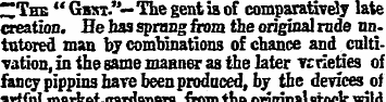 ~Th_ "Gks.."— The gent is of comparative...