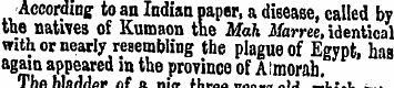 t According- to an Indian paper, a disea...
