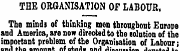 THE ORGANISATION OF LABOUR, The minds of...