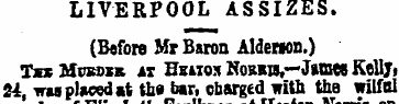 LIVERPOOL ASSIZES. (Before Mr Baron Alde...