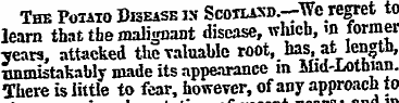 The Potato Disease ix Sco-aim-Wc regret ...