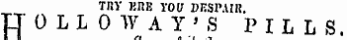THY KI5E VOU DESPAIR. OOLLO WAY'S PIL L S. ¦"