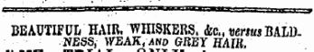 li II I 'lill I' IIW II l»ril M !¦¦ .i -I..IIIIHI ¦ ! ! I i | | I III I I j BEAUTIFUL HAIR. WHISKERS, ftc., verms BALDNESS, WEAK, and GREY HAUL