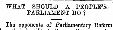 WHAT SHOULD A PEOPLE'SPARLIAMENT DO ? Th...