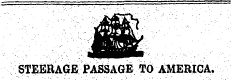 STEEitAGfi PASSAGE TO AMERICA.