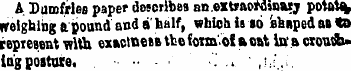 A Dumfries paper describes an.exteaoMjna...
