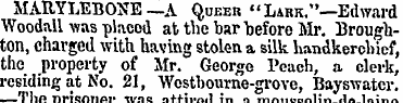 MARYLEBONE—A Queer "Lark."—Edward Woodal...